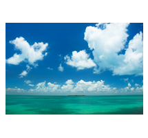 TropicaleTN