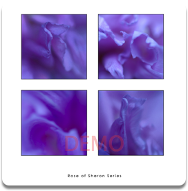 Rose of Sharon Stationery