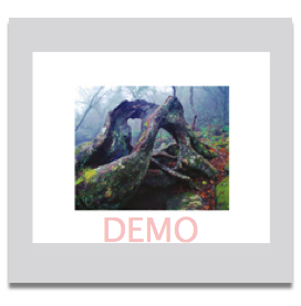 Fallen Warrior 5x7