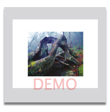 Fallen Warrior 5x7